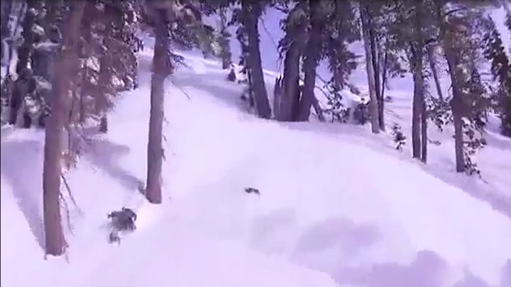 Повезло так повезло Повезло так повезло