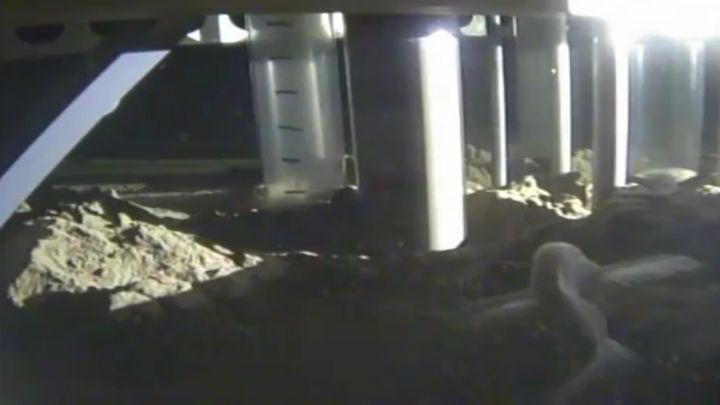 Во тьме Марианской впадины обнаружили новый вид рыб Во тьме Марианской впадины обнаружили новый вид рыб