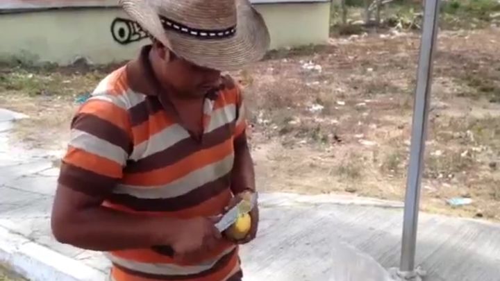 Уличный торговец нарезал манго в уникальном стиле Уличный торговец нарезал манго в уникальном стиле