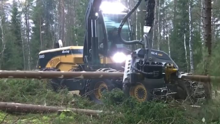 Эффектная машина для вырубки деревьев Эффектная машина для вырубки деревьев