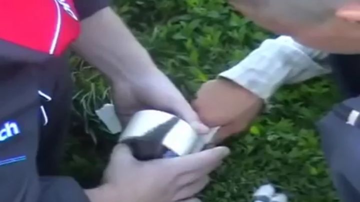 Живодеры взорвали кота петардой Живодеры взорвали кота петардой