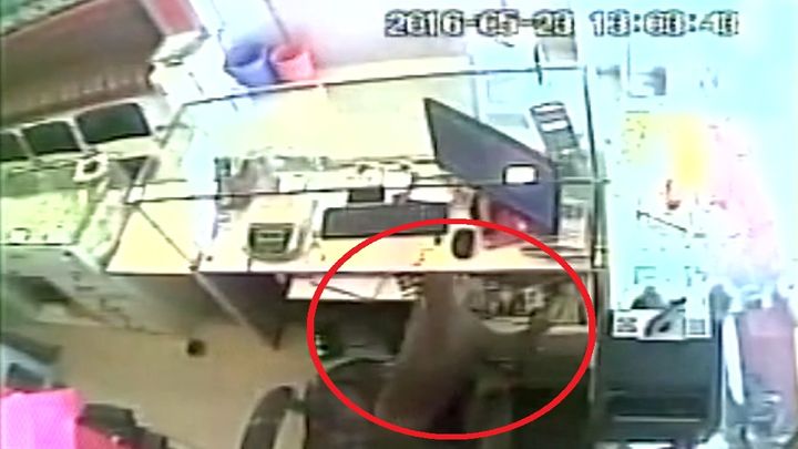 Дрессируй обезьян правильно: умный примат совершил налёт на ювелирный магазин в Индии Дрессируй обезьян правильно: умный примат совершил налёт на ювелирный магазин в Индии