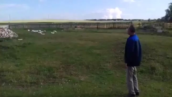 Вот так гуси слушаются своих хозяев! Вот так гуси слушаются своих хозяев!