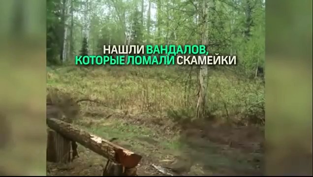 Кто ломает скамейку в заповеднике Кто ломает скамейку в заповеднике