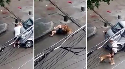 Нападение питбуля на человека Нападение питбуля на человека