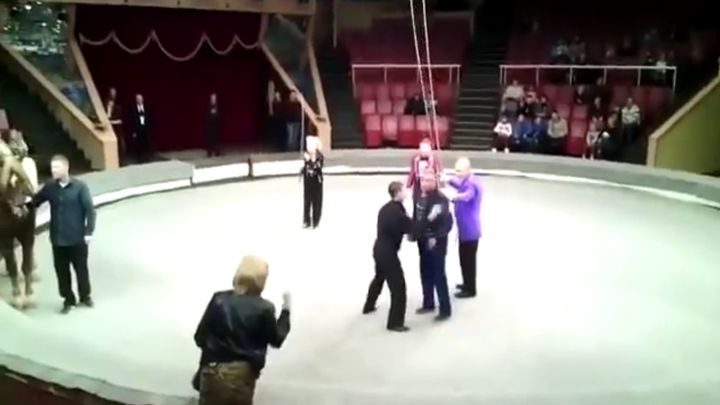 Не водите пьяных мужей в цирк! Не водите пьяных мужей в цирк!