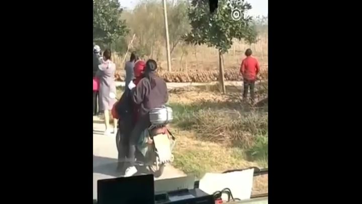 Более 20 тысяч уток образовали пробку, пока переходили через дорогу Более 20 тысяч уток образовали пробку, пока переходили через дорогу