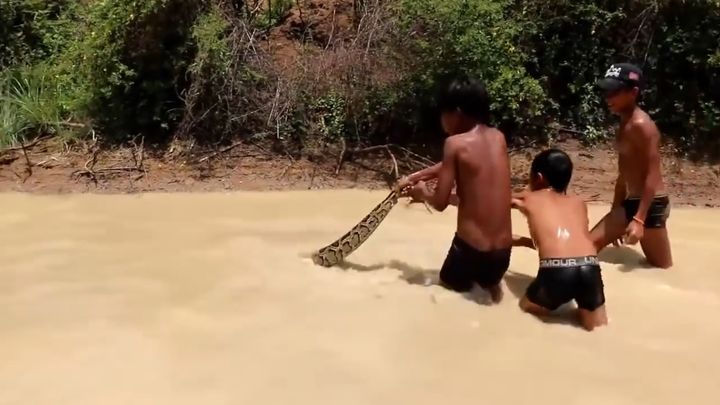 Суровые детские забавы в Камбодже Суровые детские забавы в Камбодже
