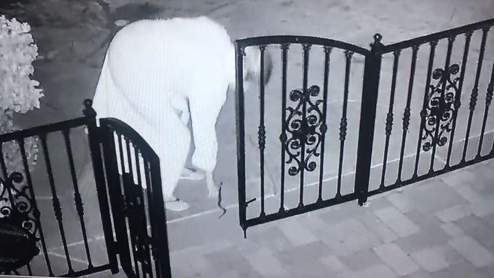 Женщина в темноте перепутала гремучую змею с собачьей игрушкой Женщина в темноте перепутала гремучую змею с собачьей игрушкой