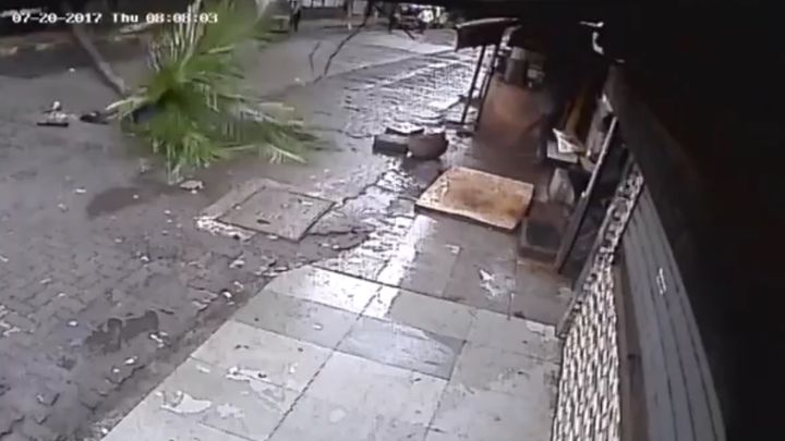 Пальма упала на индийскую телеведущую Пальма упала на индийскую телеведущую