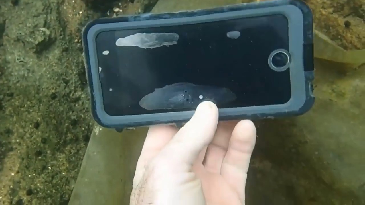 Что можно найти на дне водоема Что можно найти на дне водоема