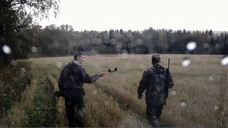 Убийство медведя в Ачинском районе Убийство медведя в Ачинском районе