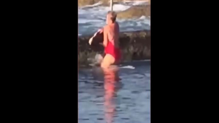 Жительница Австралии голыми руками выловила акулу из пляжного бассейна и вернула обратно в океан Жительница Австралии голыми руками выловила акулу из пляжного бассейна и вернула обратно в океан