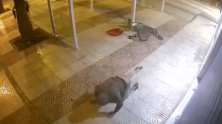 Вор очень пожалел, что не остался в этот вечер дома Вор очень пожалел, что не остался в этот вечер дома