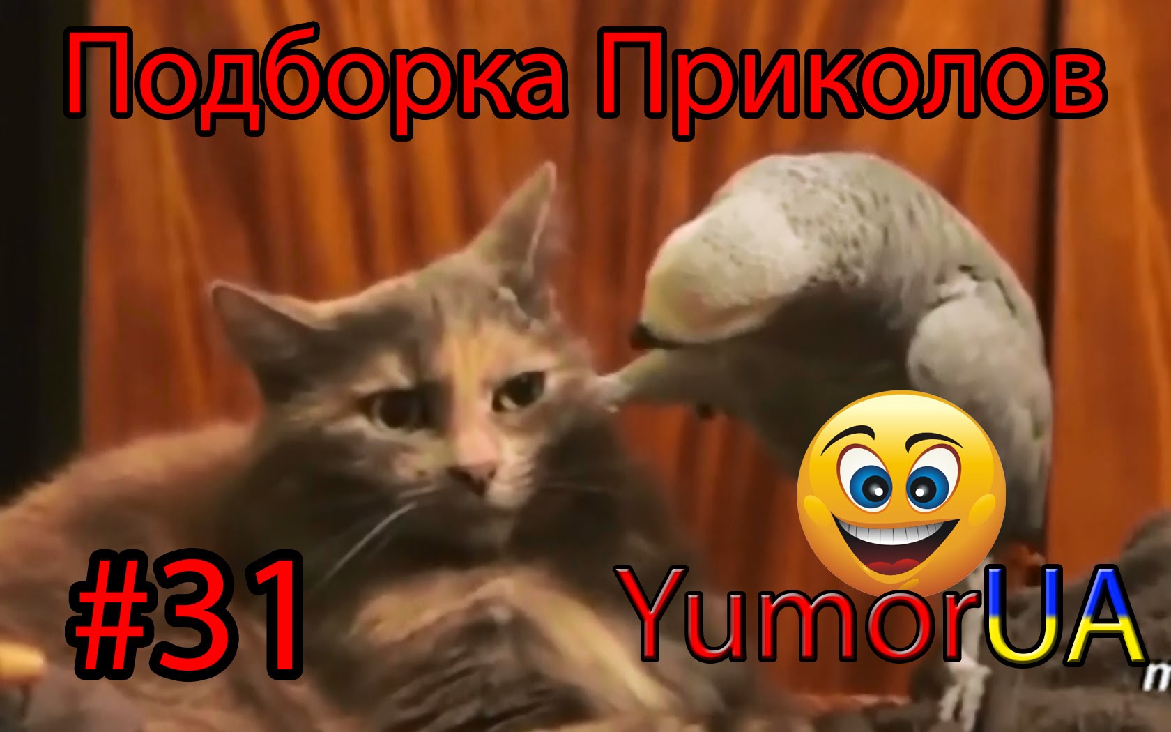 Подборка Лучших Приколов, выпуск 30 Подборка Лучших Приколов, выпуск 30