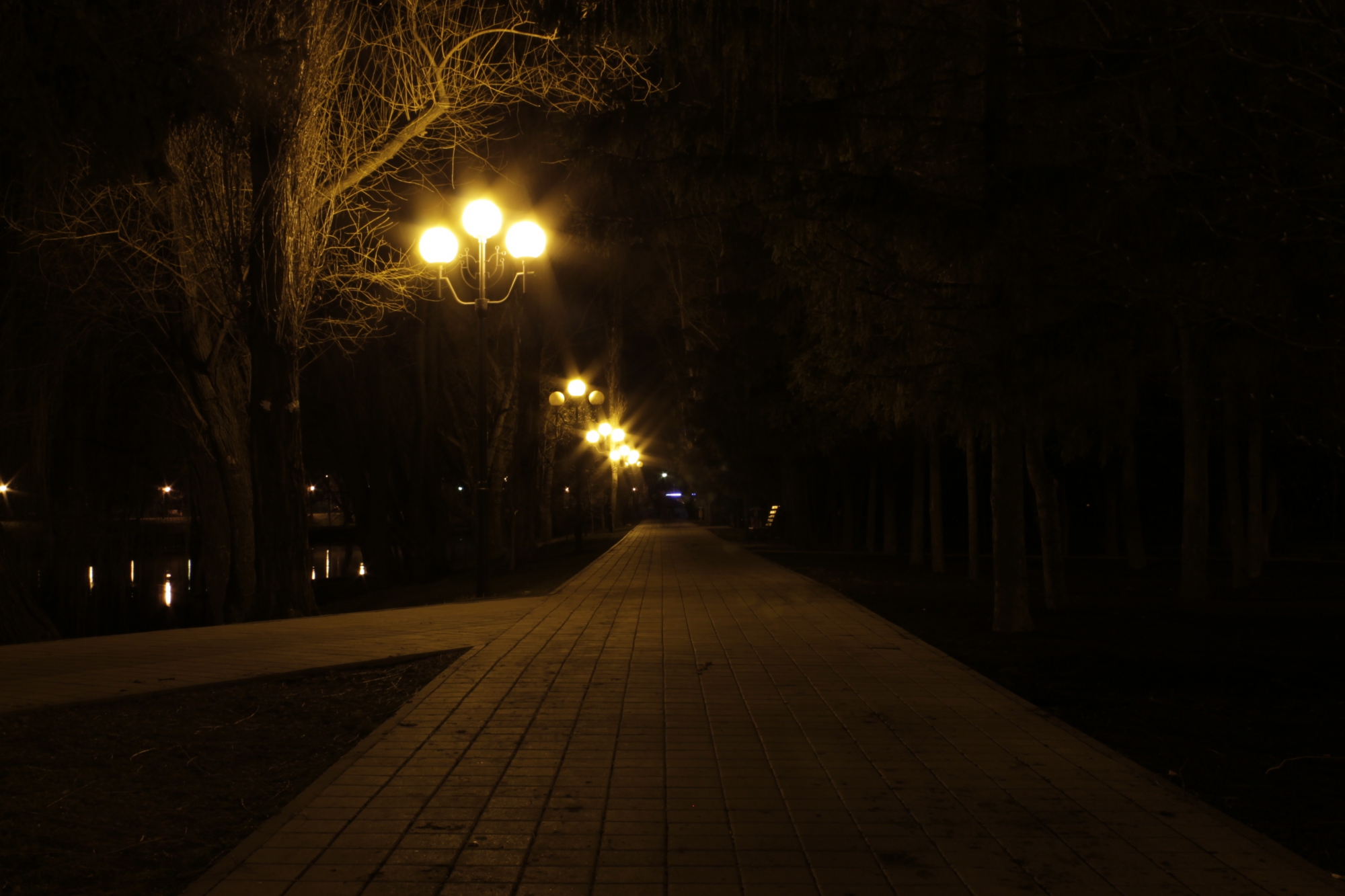 Ночная прогулка по парку без трусов фото