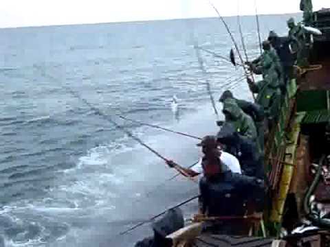 Как промыслово ловят рыбу на Мальдивах Как промыслово ловят рыбу на Мальдивах