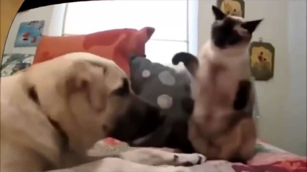 title=