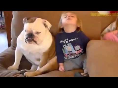 РЖАЧНИЕ ЖИВОТНЫЕ!!!!! РЖАЧНИЕ ЖИВОТНЫЕ!!!!!