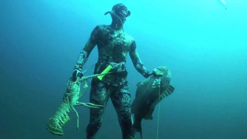 Spearfishing World Record Grouper and giant Lobsters Spearfishing World Record Grouper and giant Lobsters