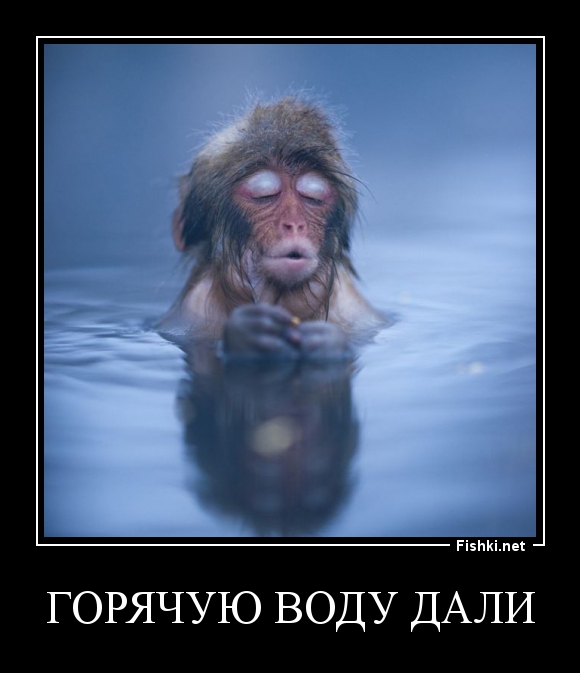 Когда дадут горячую воду в волжском сентябрь 2018 Когда дадут горячую воду в волжском сентябрь 2018