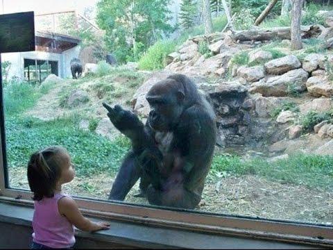 Funny Fail Compilation December 2014★ Funny Fails ★ Best Fails Funny Videos ★ Funny Fail Compilation December 2014★ Funny Fails ★ Best Fails Funny Videos ★