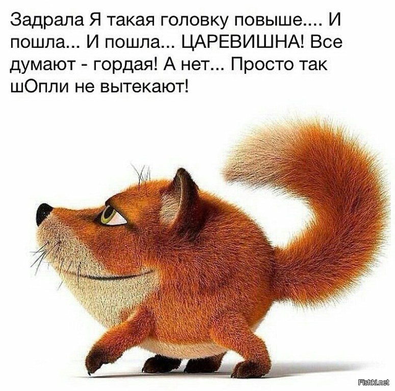 Гордая Лиса Картинки Гордая Лиса Картинки