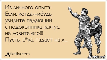 не лови падающий кактус не лови падающий кактус
