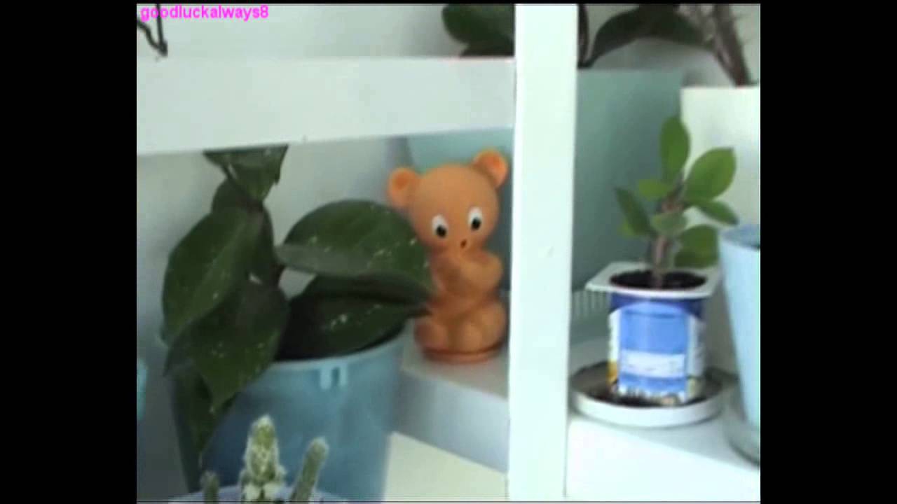 Цветы на балконе Цветы на балконе