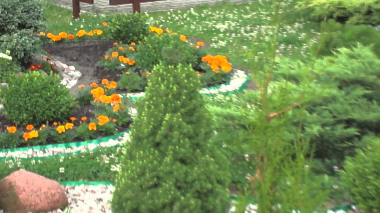 Цветы в саду в палисаднике Цветы в саду в палисаднике