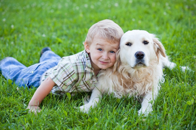 4. Здоровое сердце дети, домашние животные, собака, собаки