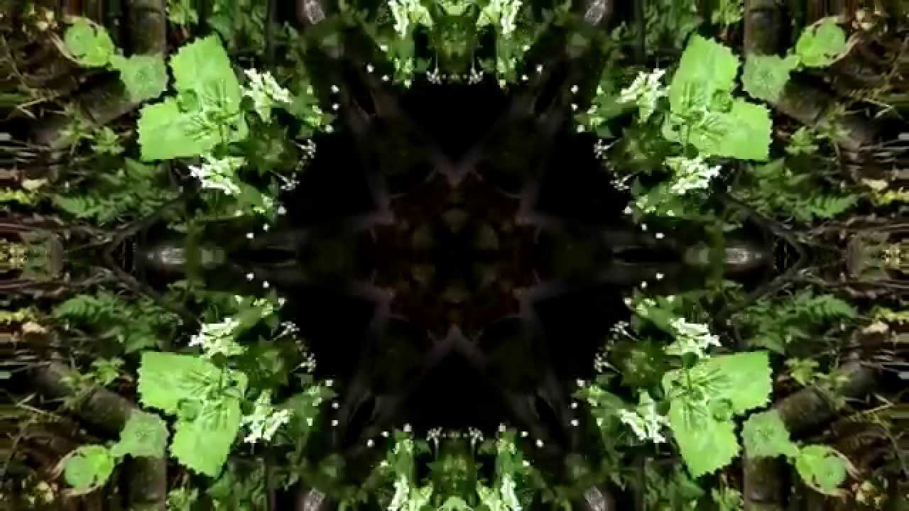 Phase Destruction - Rehoa Phase Destruction - Rehoa