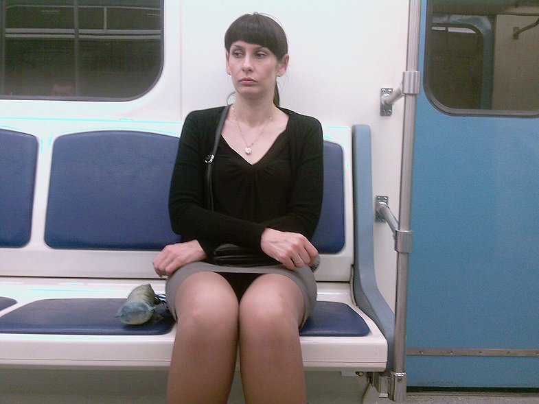 Белые трусики под юбкой чувак заснял на камеру в метро у одной дамы