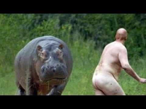 Жесткий угар и нелепые неудачи Жесткий угар и нелепые неудачи