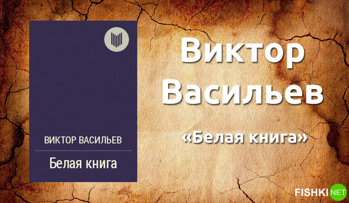 Книга виктора васильева белая книга скачать fb2
