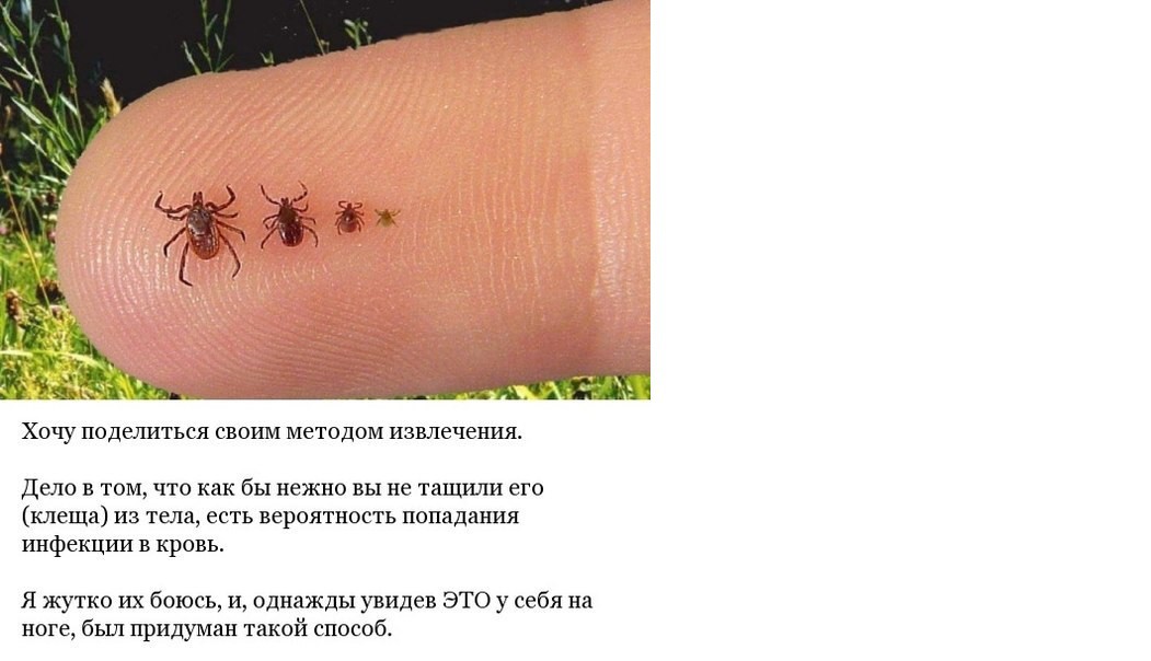 Что делать с царапинами на коже Что делать с царапинами на коже