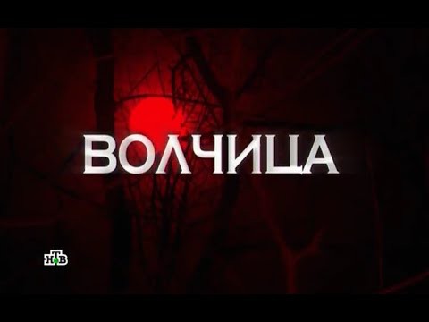 1. Волчица 1. Волчица