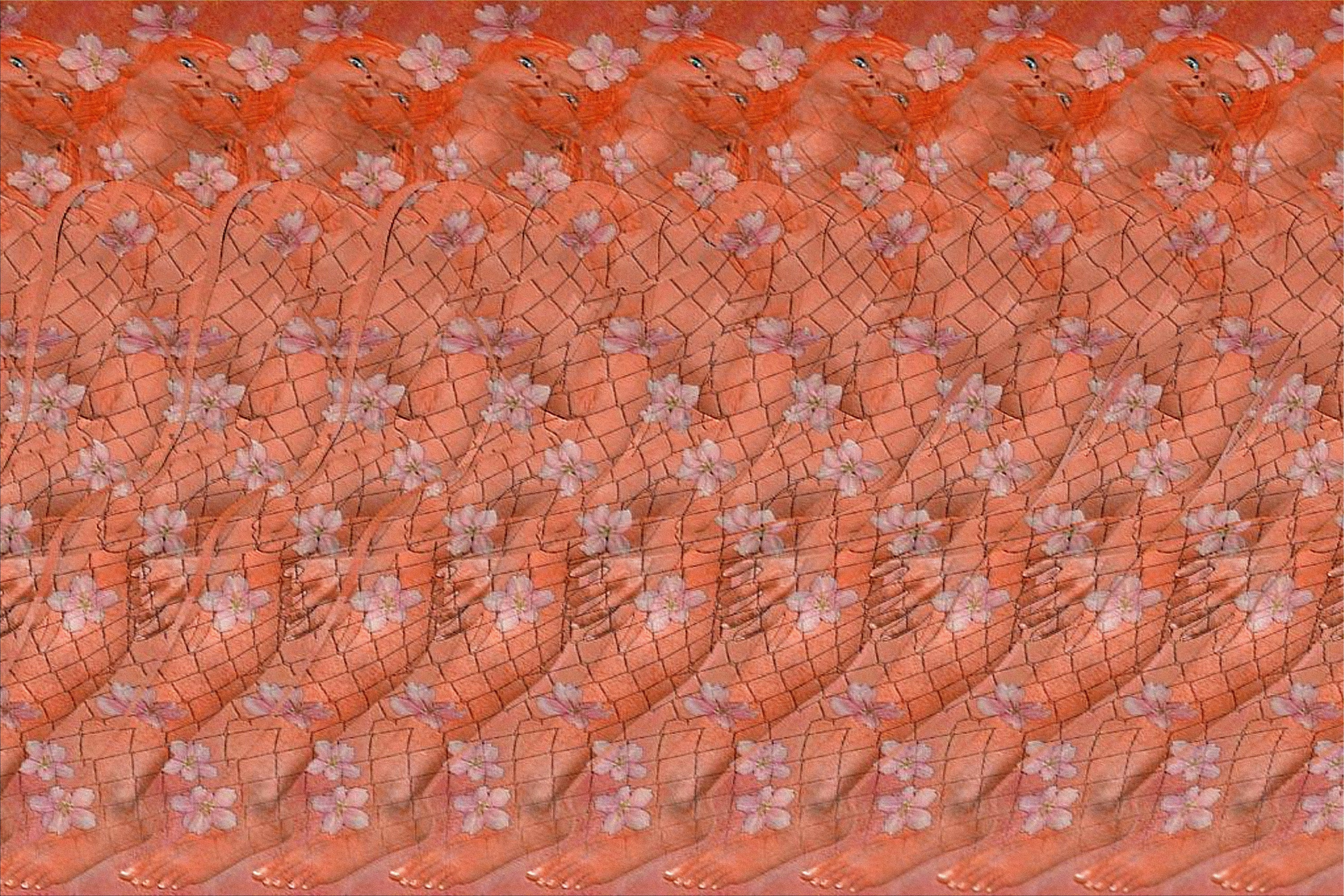 Stereogram Porn Porno Photo