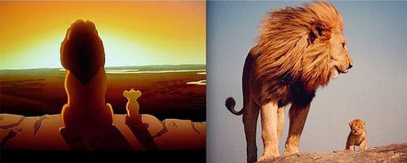 «Король лев» — Муфаса и Симба дисней, животные, мультик, реальность