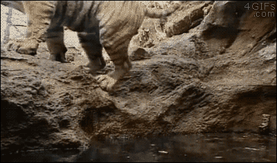 gifs_09.gif