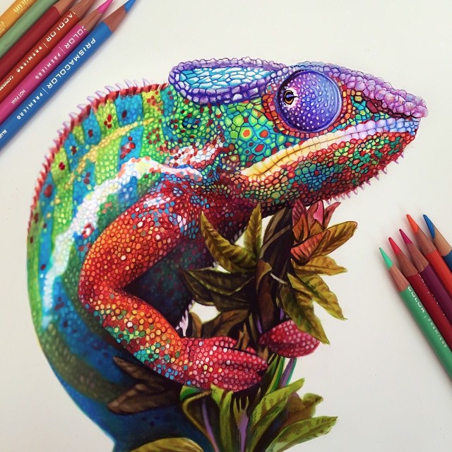 Восхитительный гиперреализм цветными карандашами от Морган Дэвидсон гиперреализм, рисунок