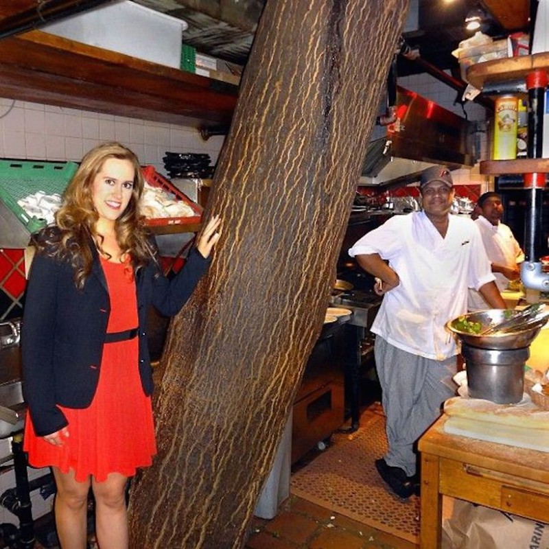 15. Внутри четырехэтажного ресторана Kit Kat в Торонто растет дерево дерево, здание