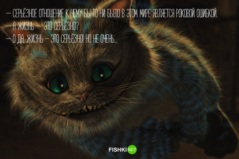12 философских цитат Чеширского кота Чеширский Кот, алиса в стране чудес, книги, коты, цитаты