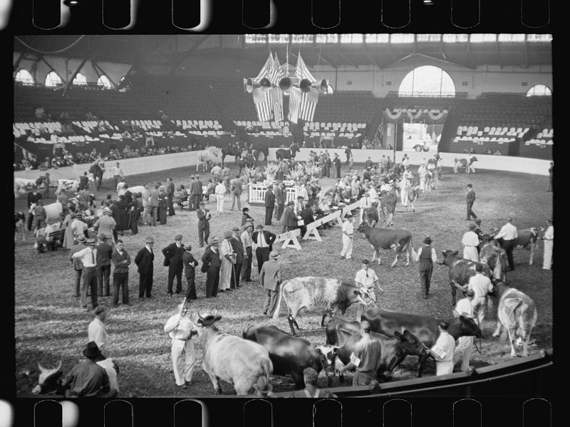 13. Ярмарка крупного рогатого скота. Спрингфилд, штат Массачусетс. Сентябрь 1936 года. америка, великая депрессия, кризис