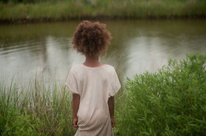 1.    / Beasts of the Southern Wild, 2012 , 