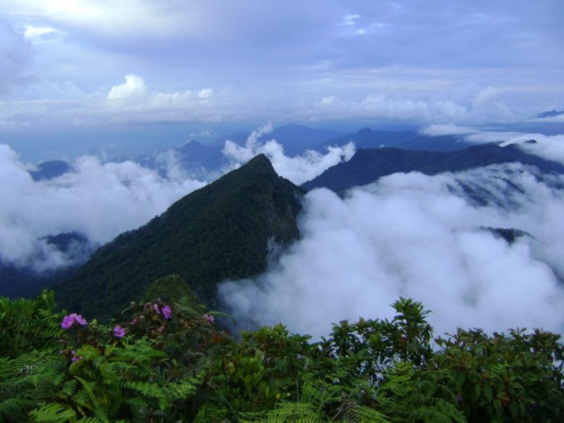 6. Джунгли Борнео туризм, экстремальный туризм, экстрим