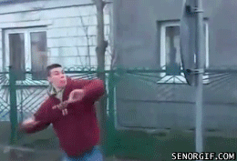 gifs_02.gif