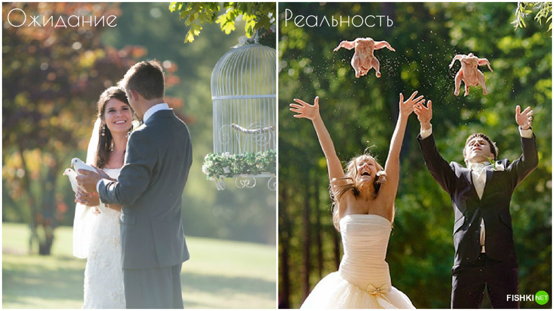 Хотели креативно запустить птиц в небо ожидание и реальность, свадьба