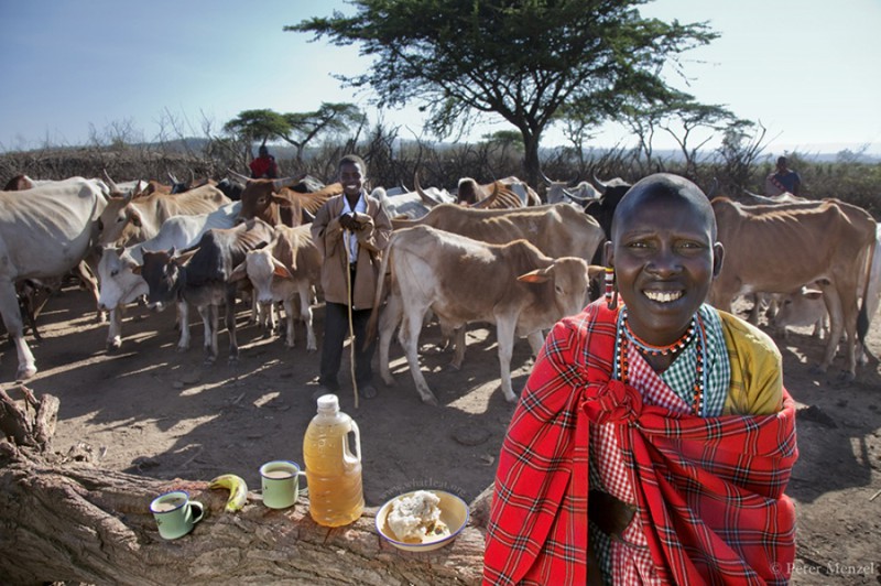 Нулкисаруни Таракуай, третья из четырех жен одного из вождей народа масаи. еда, калорийность, пища, факты