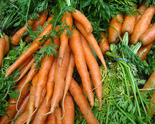 Морковь здоровье, факты